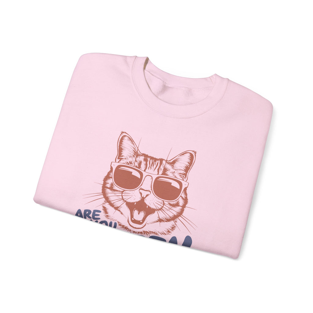 Funny Cat Sweatshirt Cute Cat Jumper – Bamerix