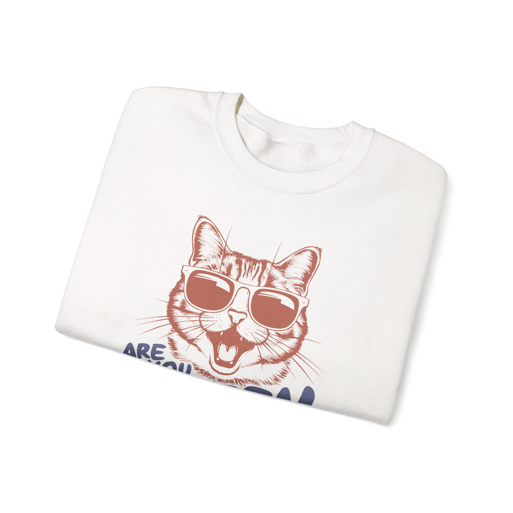 Funny Cat Sweatshirt Cute Cat Jumper – Bamerix