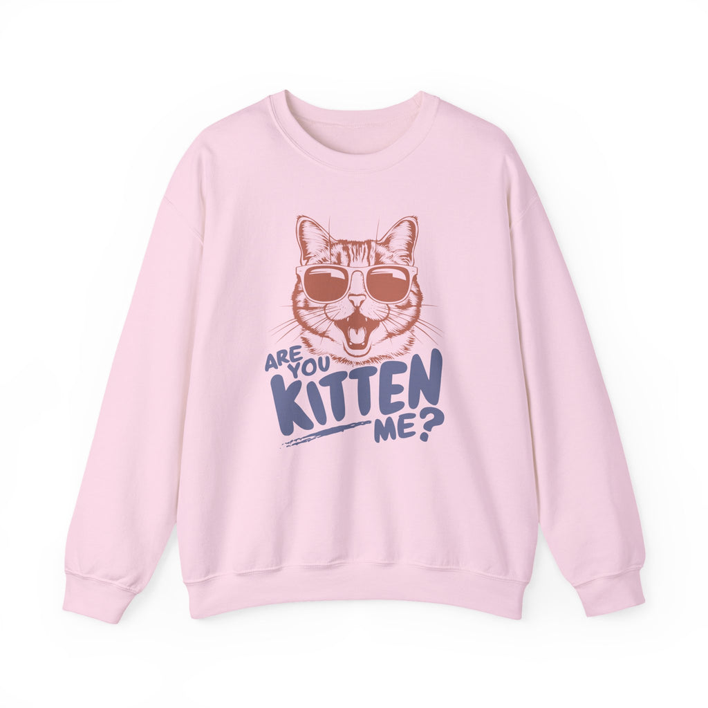 Funny Cat Sweatshirt Cute Cat Jumper – Bamerix