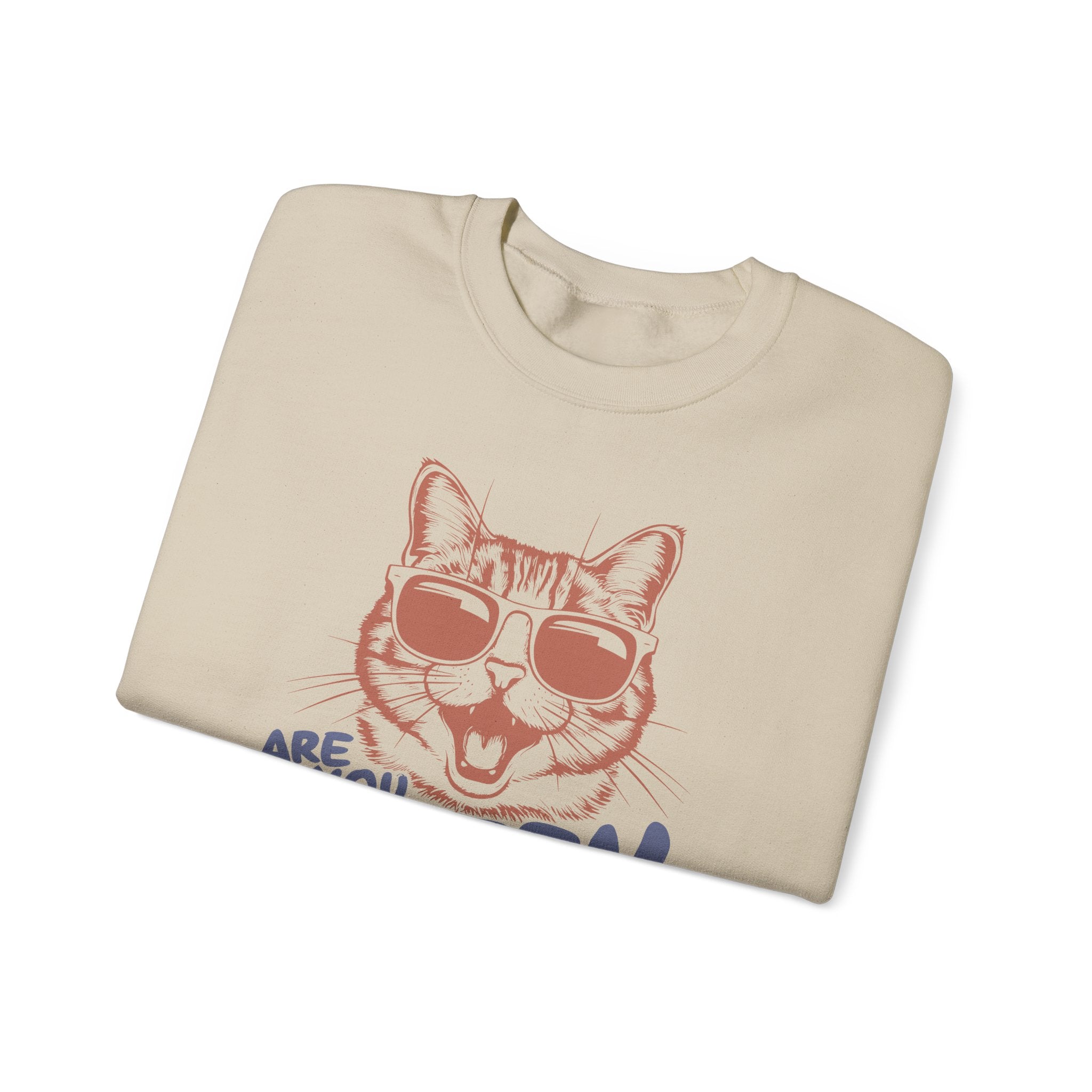 Funny Cat Sweatshirt Cute Cat Jumper – Bamerix