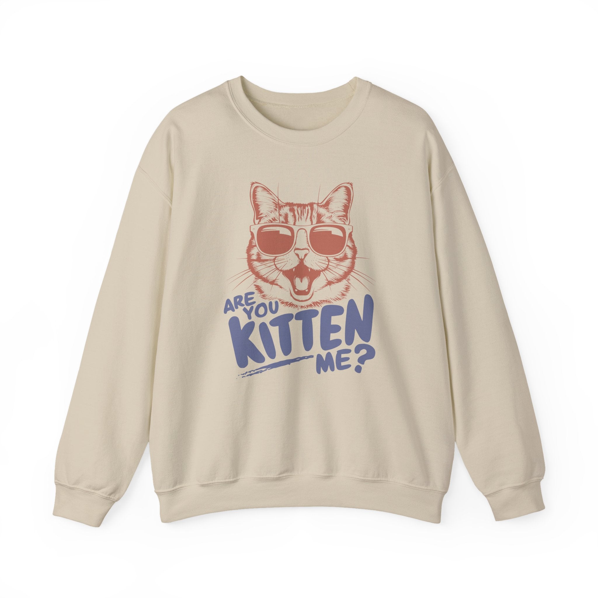 Funny Cat Sweatshirt Cute Cat Jumper – Bamerix