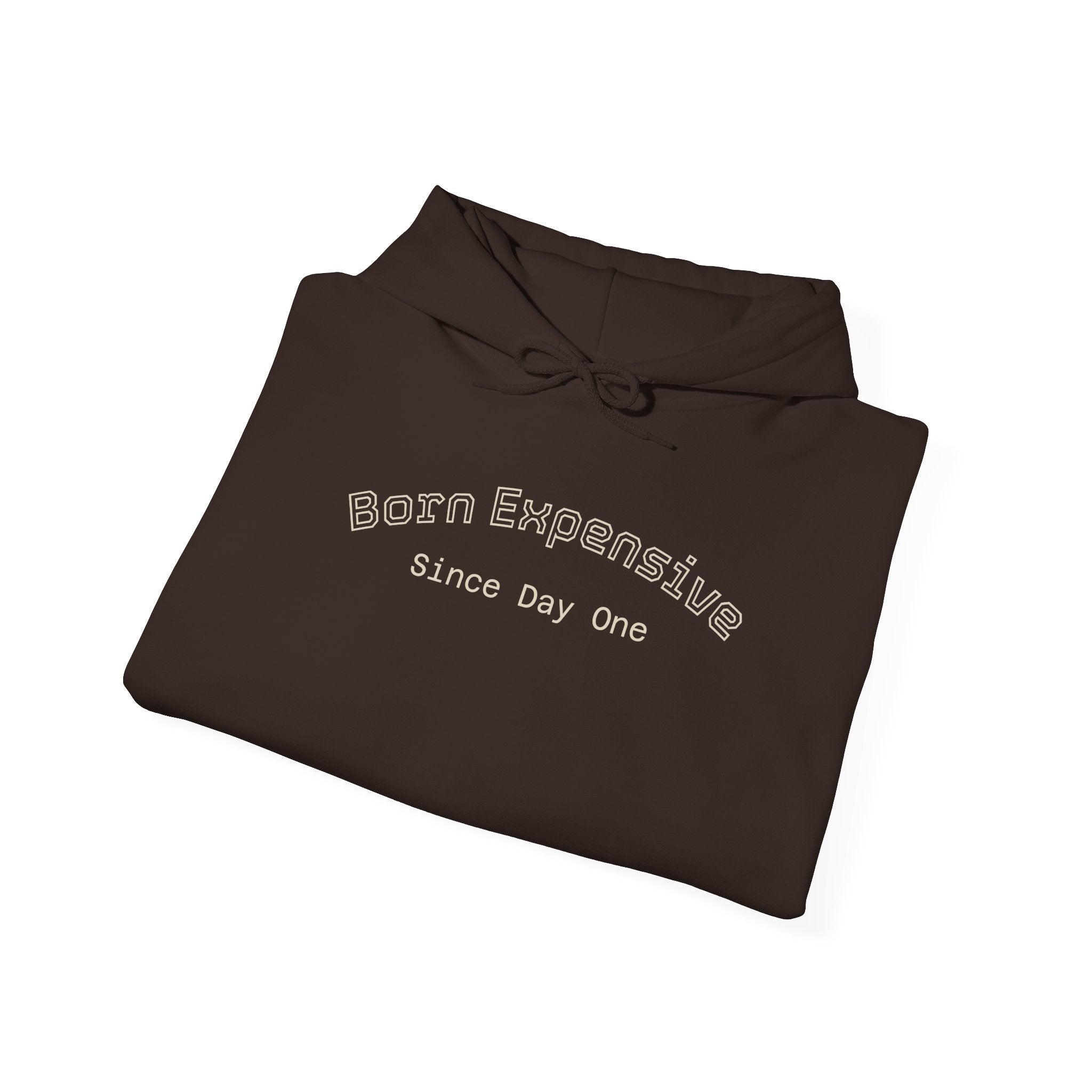 Hoodie — "Born Expansive Since Day One" – Bamerix