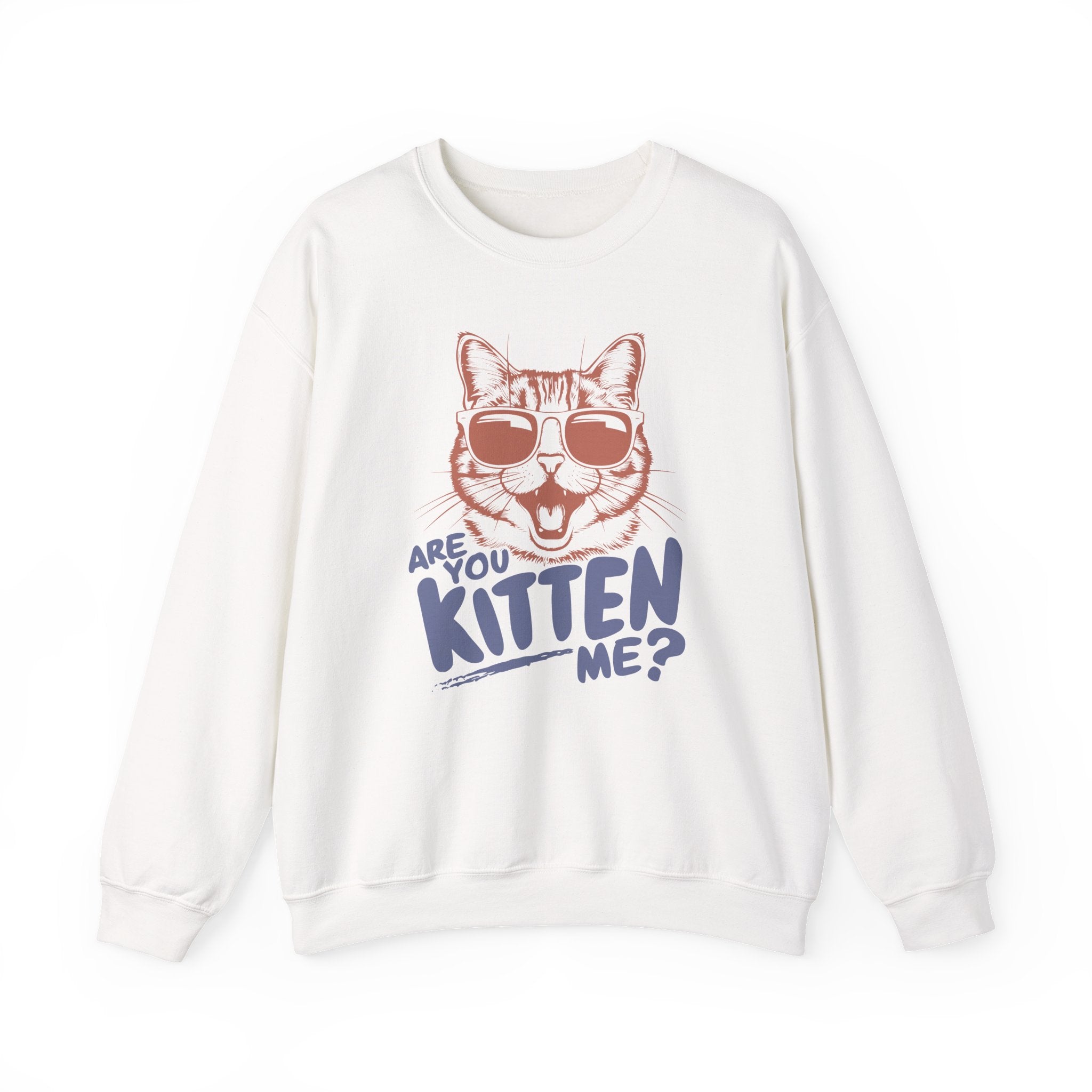 Funny Cat Sweatshirt Cute Cat Jumper – Bamerix